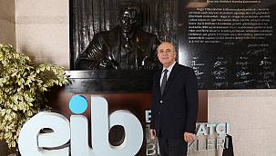 Odundışı orman ürünleri ihracatımız pandemide arttı