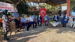 KAHRAMANMARAŞ’TA İLAÇ KULLANMADAN TURUNÇGİL ÜRETİMİ GERÇEKLEŞTİRİLDİ