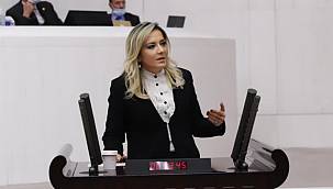 Cesur'un “2020 DEĞERLENDİRMESİ VE 2021 YILBAŞI MESAJI”...