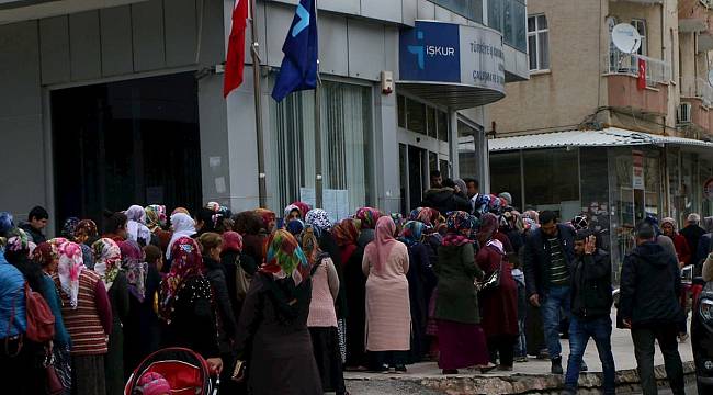 Türkiyede işsizlik oranında düşüş görüldü