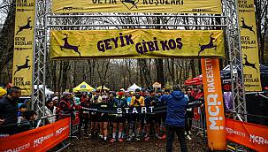 Belgrad Ormanını Geyikler Bastı!