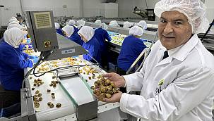 Ege Bölgesi’nden kuru meyve ihracatı 1 milyar doları aştı