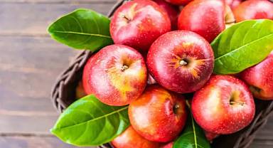 Göksun'da elma üreticileri zor durumda