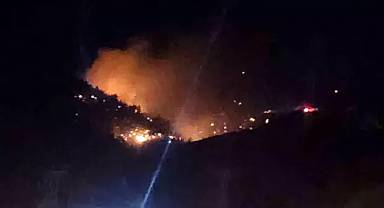 Onikişubat'ta çıkan orman yangını kontrol altına alındı