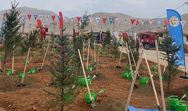 11 Kasım Milli Ağaçlandırma Günü Coşkusu