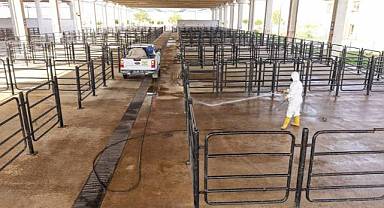 Büyükşehir’den Canlı Hayvan Pazarı’nda Halk Sağlığı İçin Kapsamlı Çalışma