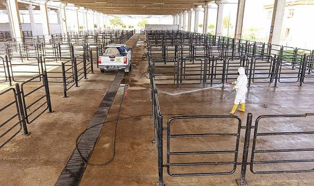 Büyükşehir’den Canlı Hayvan Pazarı’nda Halk Sağlığı İçin Kapsamlı Çalışma