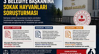  İÇİŞLERİ BAKANLIĞI'NDAN 3 BELEDİYE BAŞKANINA SOKAK HAYVANLARI SORUŞTURMASI