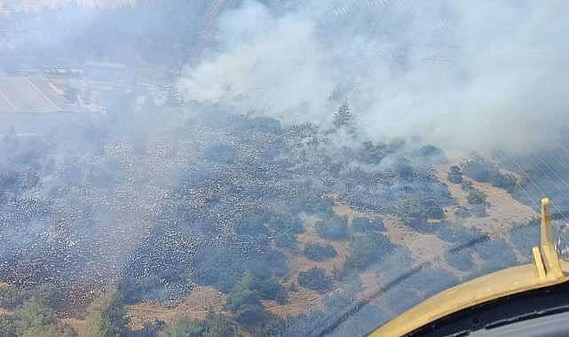 TÜRKOĞLU'NDA ORMAN YANGINI KONTROL ALTINA ALINDI