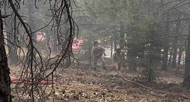 Kahramanmaraş'ta 8 farklı alanda çıkan orman yangınları söndürüldü