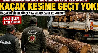 Kahramanmaraş'ta Kaçak Ağaç Kesimine Operasyon!