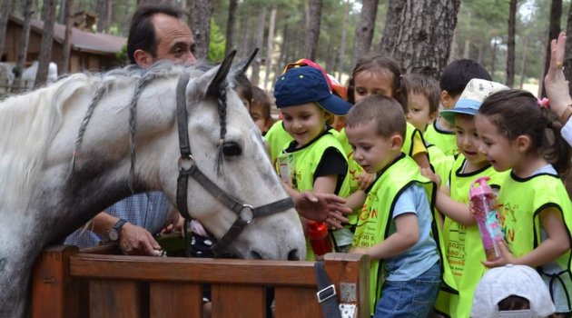 Arslanbey Doğal Yaşam Parkı’na Yoğun İlgi