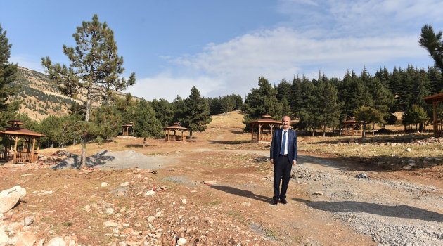 “BU AĞAÇLAR ARTIK YALNIZ DEĞİL”