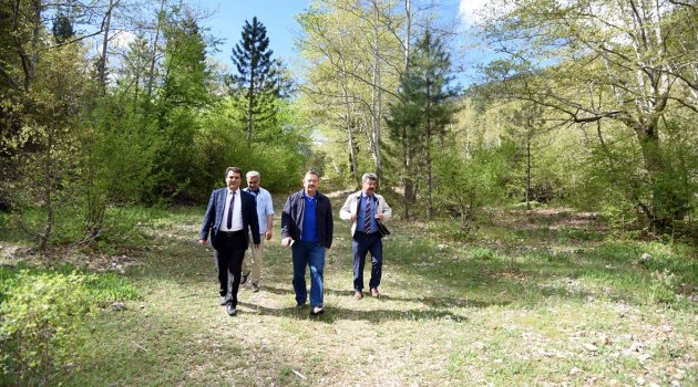 Göksun’da 2. Yayla Festivali Yapılıyor