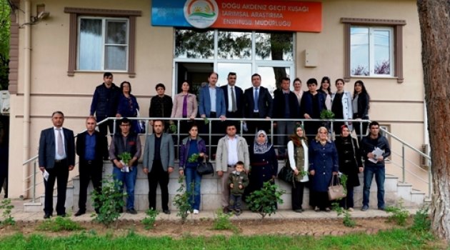 KAHRAMANMARAŞ’TA BİR İLK: LAVANTA YETİŞTİRİCİLİĞİ