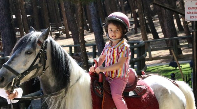Kahramanmaraş’ta mini hayvanat parkı!