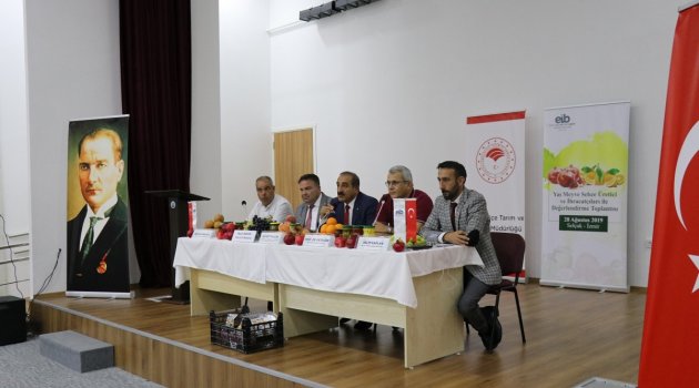 Narenciye İhracatında Beklenti 900 Milyon Dolar