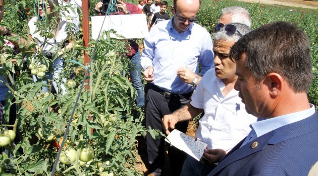 TARIMSAL YENİLİKLERİN YAYGINLAŞTIRILMASI YAYIM PROJELERİ DEVAM EDİYOR